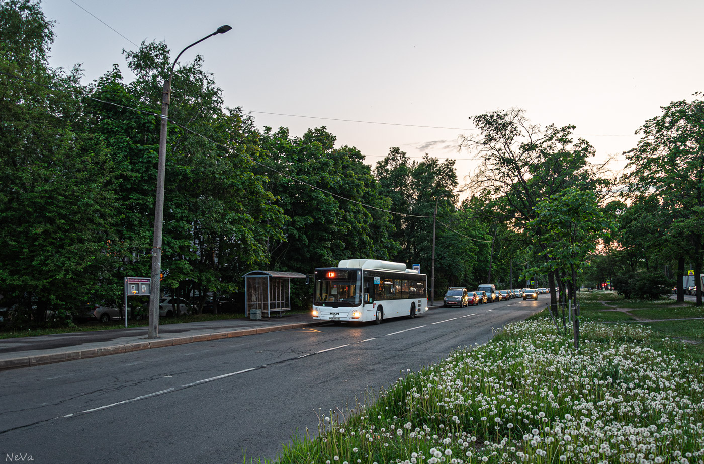 Saint Petersburg, MAN A21 Lion's City NL313 CNG # 7535
