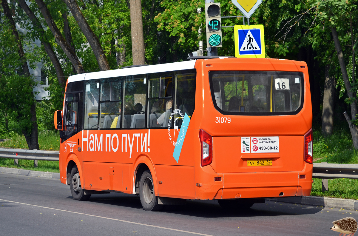 Нижегородская область, ПАЗ-320435-04 "Vector Next" № 31079
