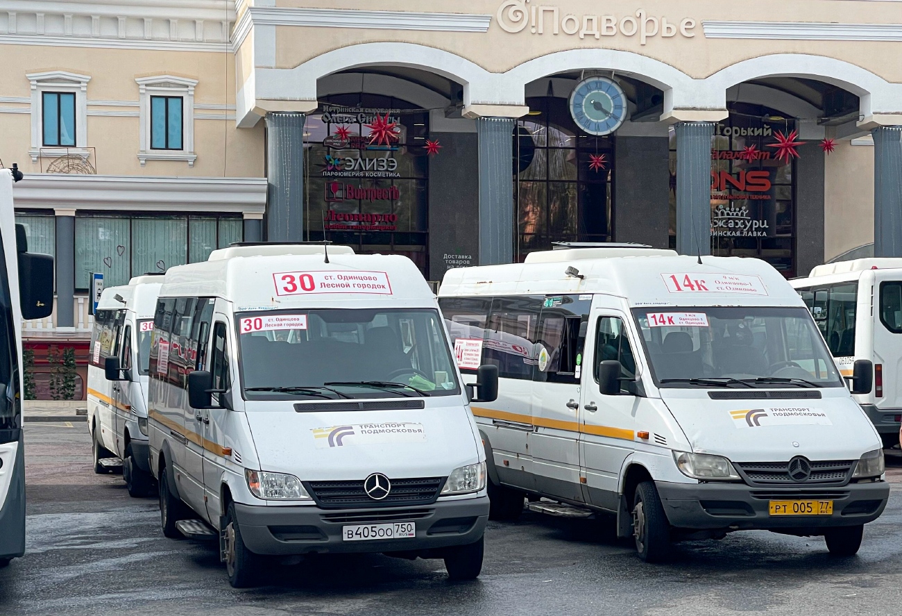 Московская область, Луидор-223237 (MB Sprinter Classic) № В 405 ОО 750