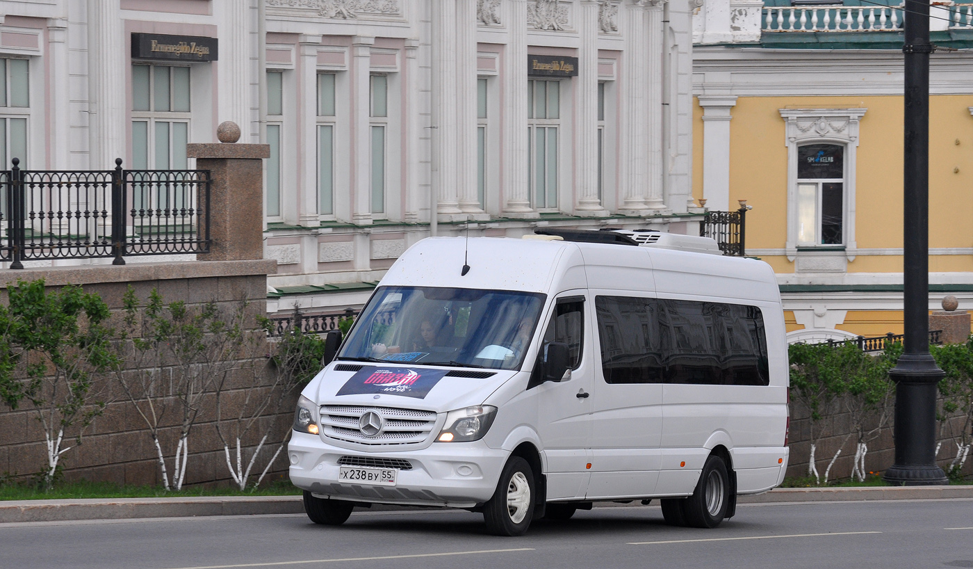 Омская область, Луидор-223602 (MB Sprinter) № Х 238 ВУ 55