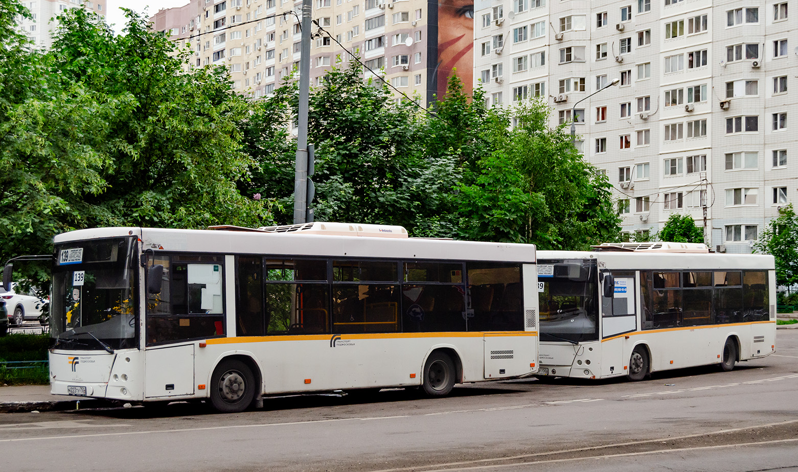 Московская область, МАЗ-206.086 № 069094; Московская область, МАЗ-206.086 № 069104