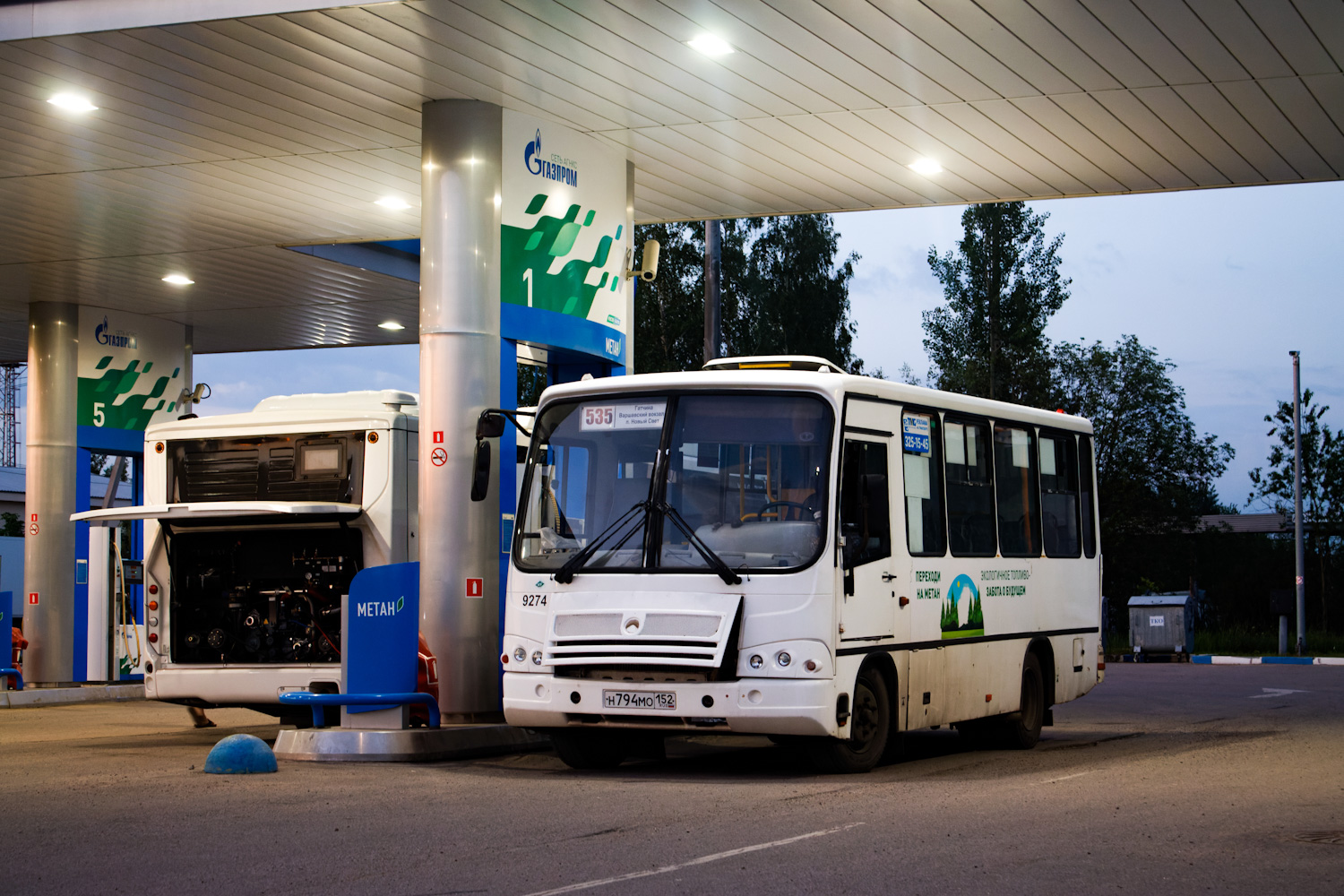 Ленинградская область, Volgabus-4298.G4 (CNG) № 11467; Ленинградская область, ПАЗ-320302-08 № 9274