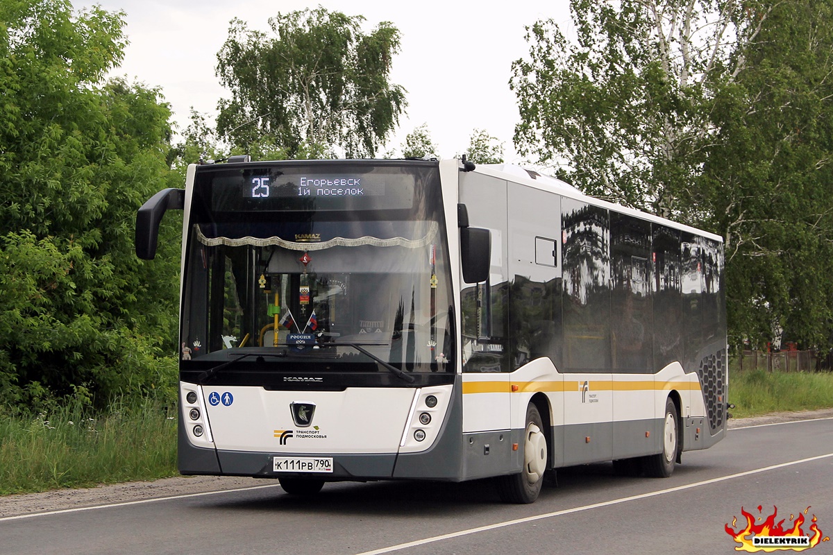 Московская область, НефАЗ-5299-31-52 № 046669