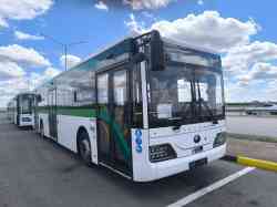 229 КБ