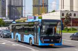 591 КБ