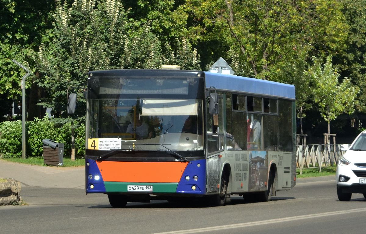 Краснодарский край, МАЗ-206.068 № О 429 ЕК 193