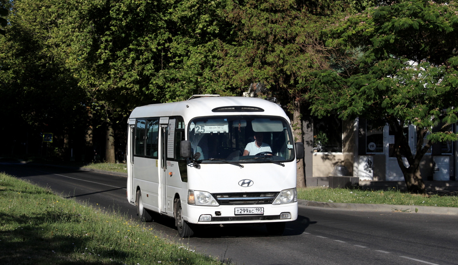 Краснодарский край, Hyundai County Kuzbass № Т 299 АС 193