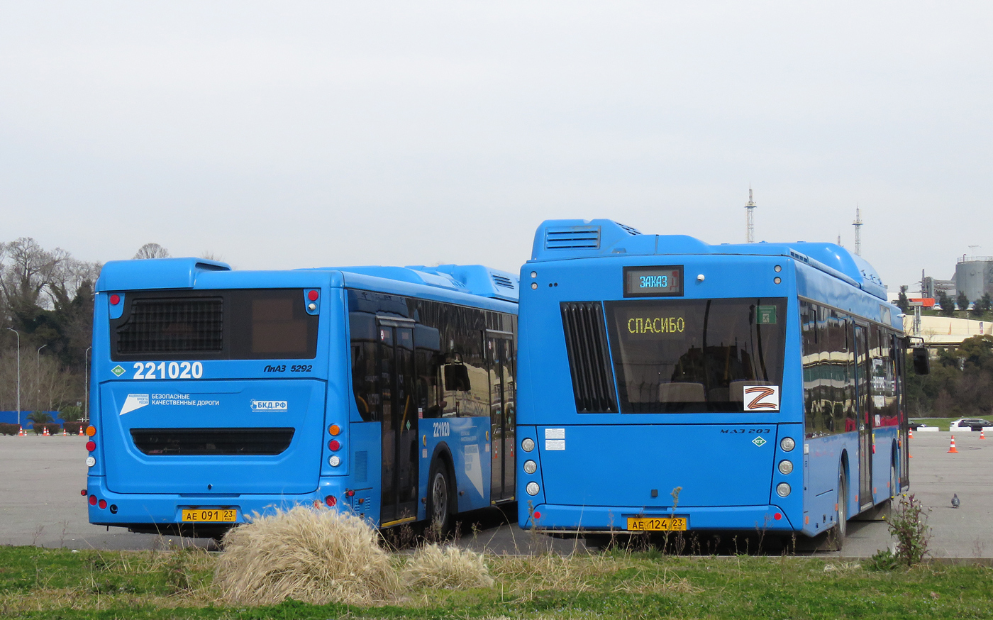 Краснодарский край, МАЗ-203.С65 № АЕ 124 23