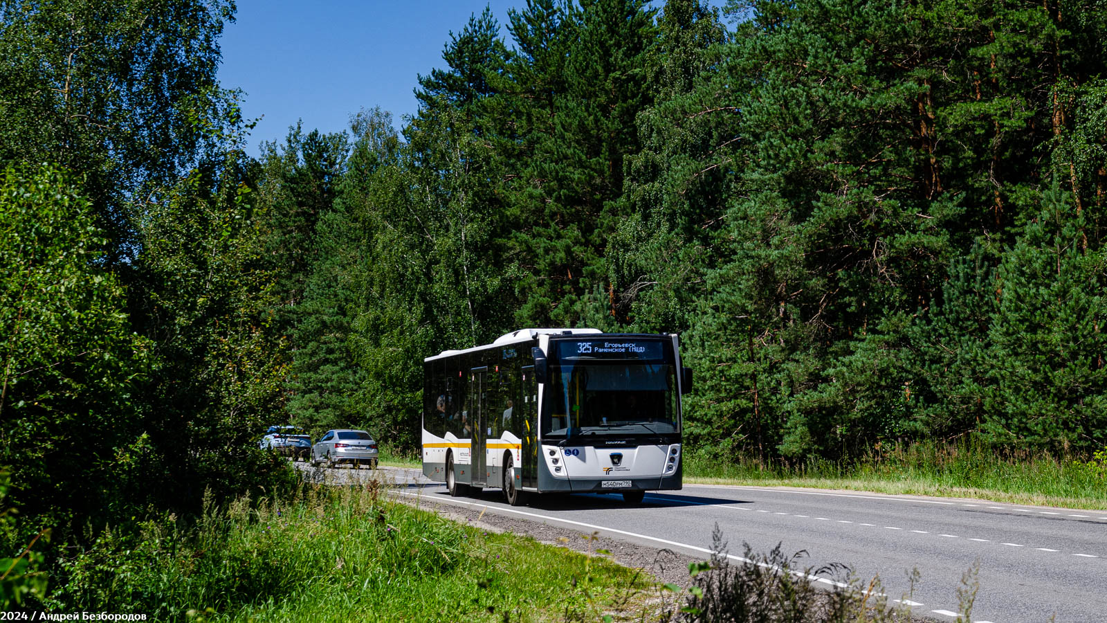 Московская область, НефАЗ-5299-31-52 № 046665