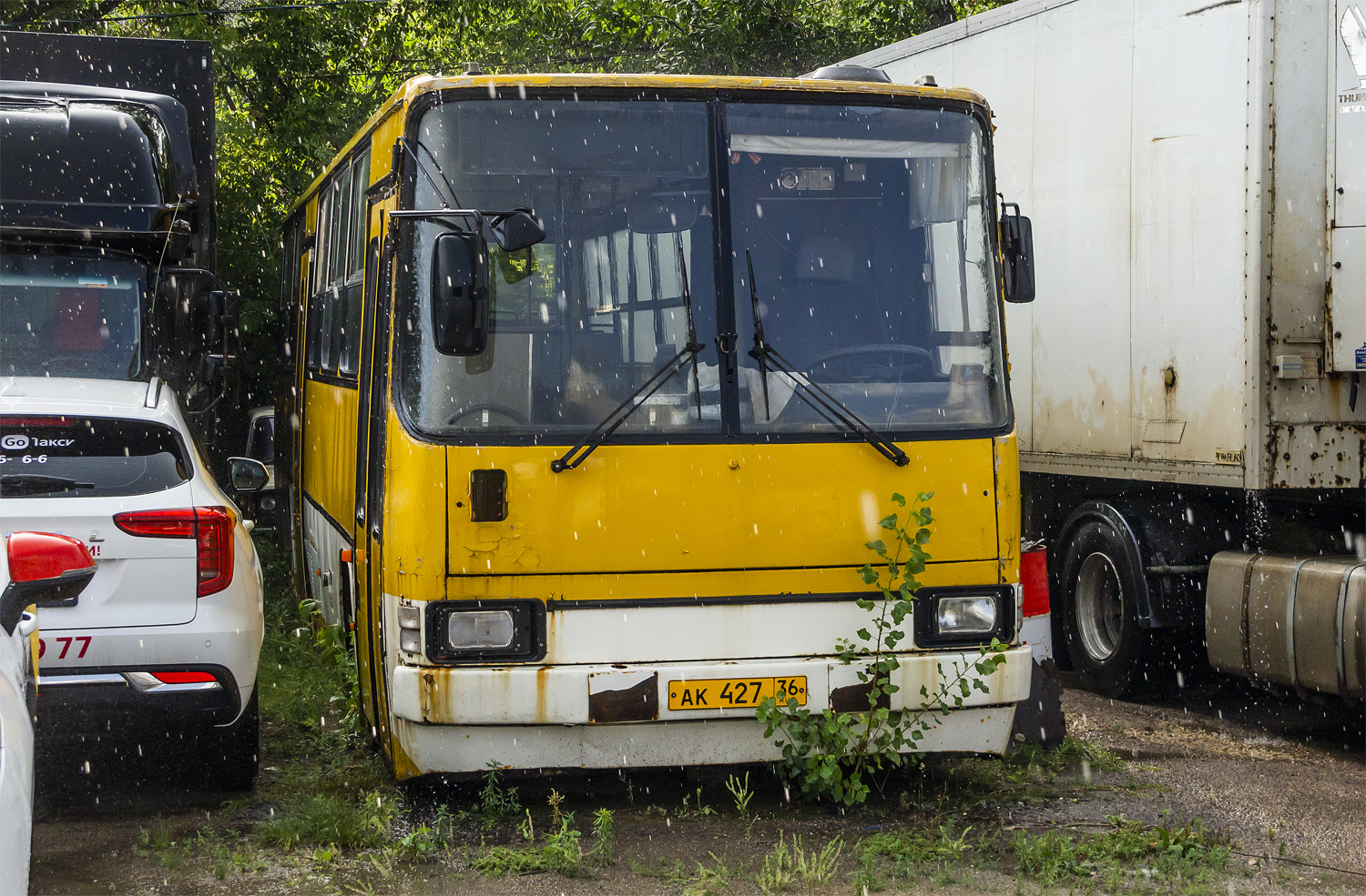 Воронежская область, Ikarus 260.27 № АК 427 36