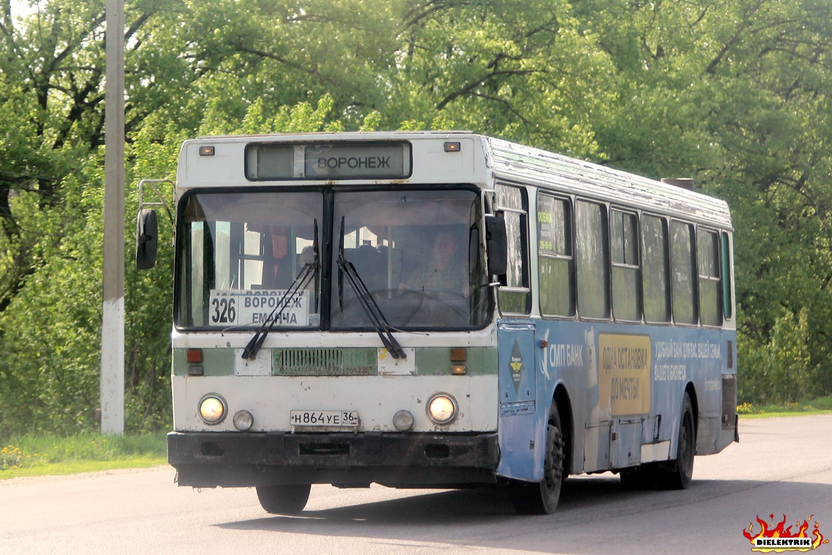 Воронежская область, ЛиАЗ-5256.30-01 № Н 864 УЕ 36