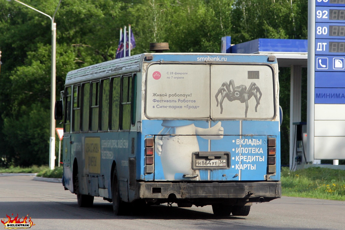 Воронежская область, ЛиАЗ-5256.30-01 № Н 864 УЕ 36