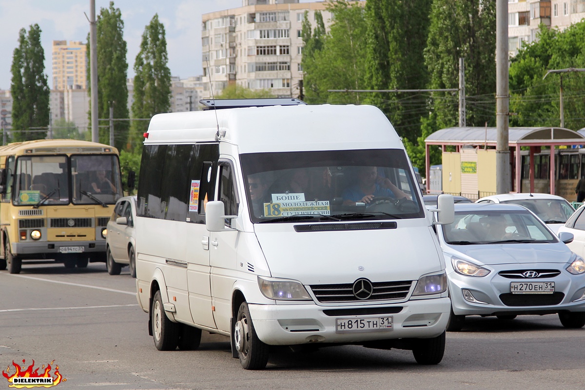 Белгородская область, Самотлор-НН-323770 (MB Sprinter 411CDI) № Н 815 ТН 31
