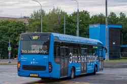 6599 КБ