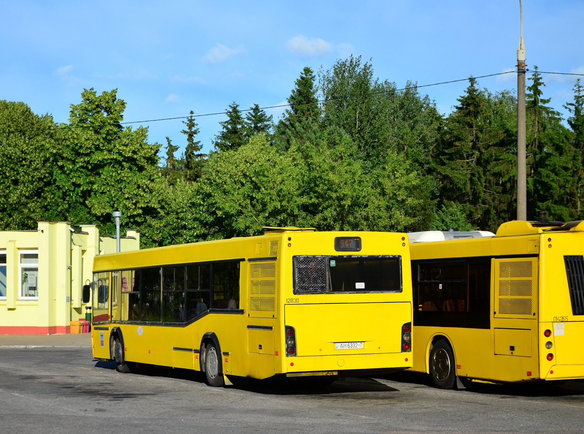 Минск, МАЗ-103.562 № 012830; Минск, МАЗ-203.069 № 014265 Минск, МАЗ-103.562 № 012830; Минск, МАЗ-203.069 № 014265