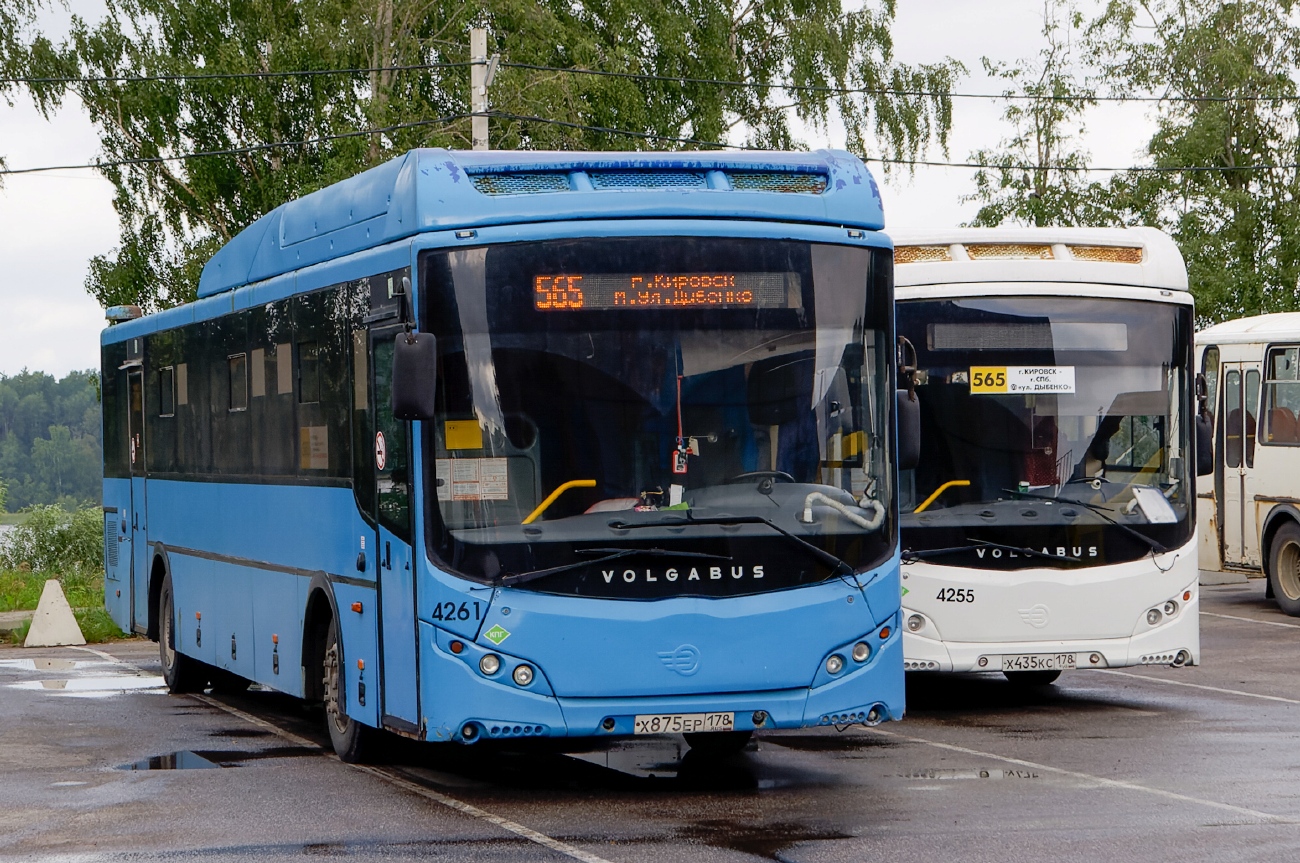 Санкт-Петербург, Volgabus-5285.G2 № 4261