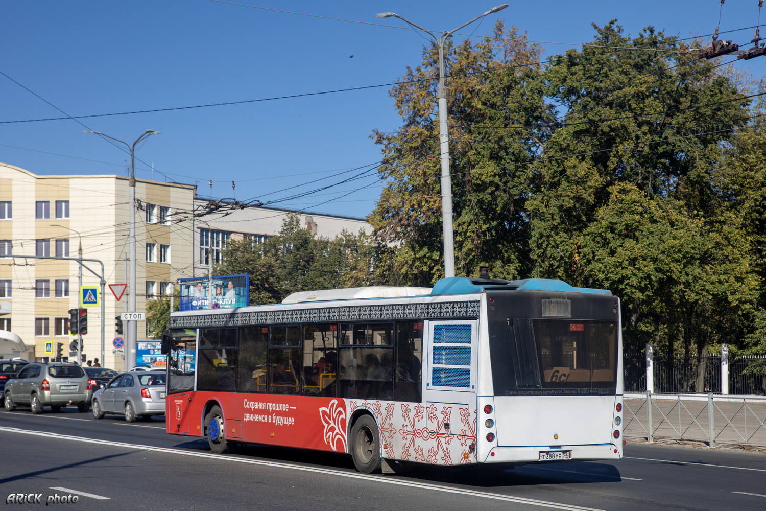 Владимирская область, МАЗ-203.069 № Т 388 УЕ 33 Владимирская область, МАЗ-203.069 № Т 388 УЕ 33
