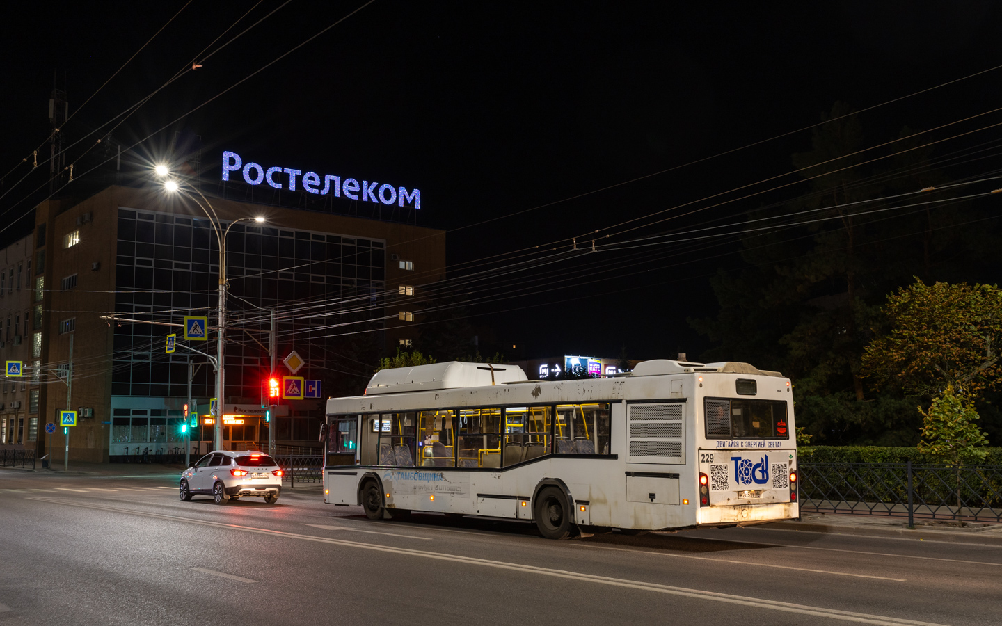 Тамбовская область, МАЗ-103.965 № 229