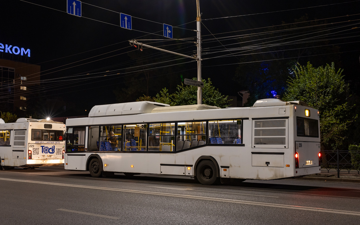 Тамбовская область, МАЗ-103.965 № 259