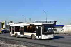 559 КБ