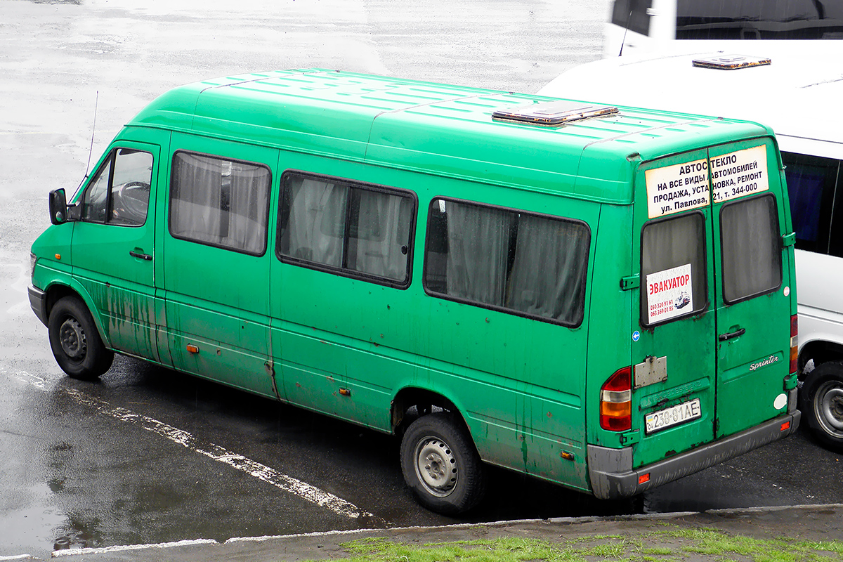Днепропетровская область, Mercedes-Benz Sprinter W903 308D № 238-81 АЕ
