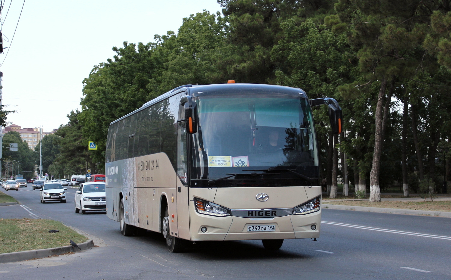 Краснодарский край, Higer KLQ6121LTQ № Е 393 ОА 193