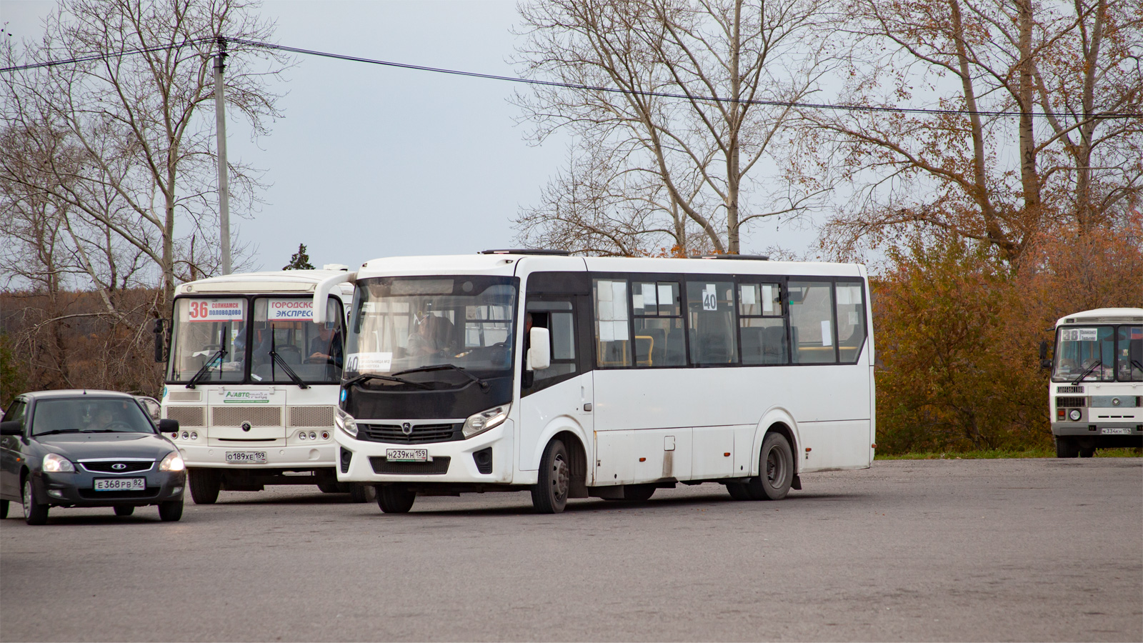 Пермский край, ПАЗ-320415-04 "Vector Next" № Н 239 КН 159