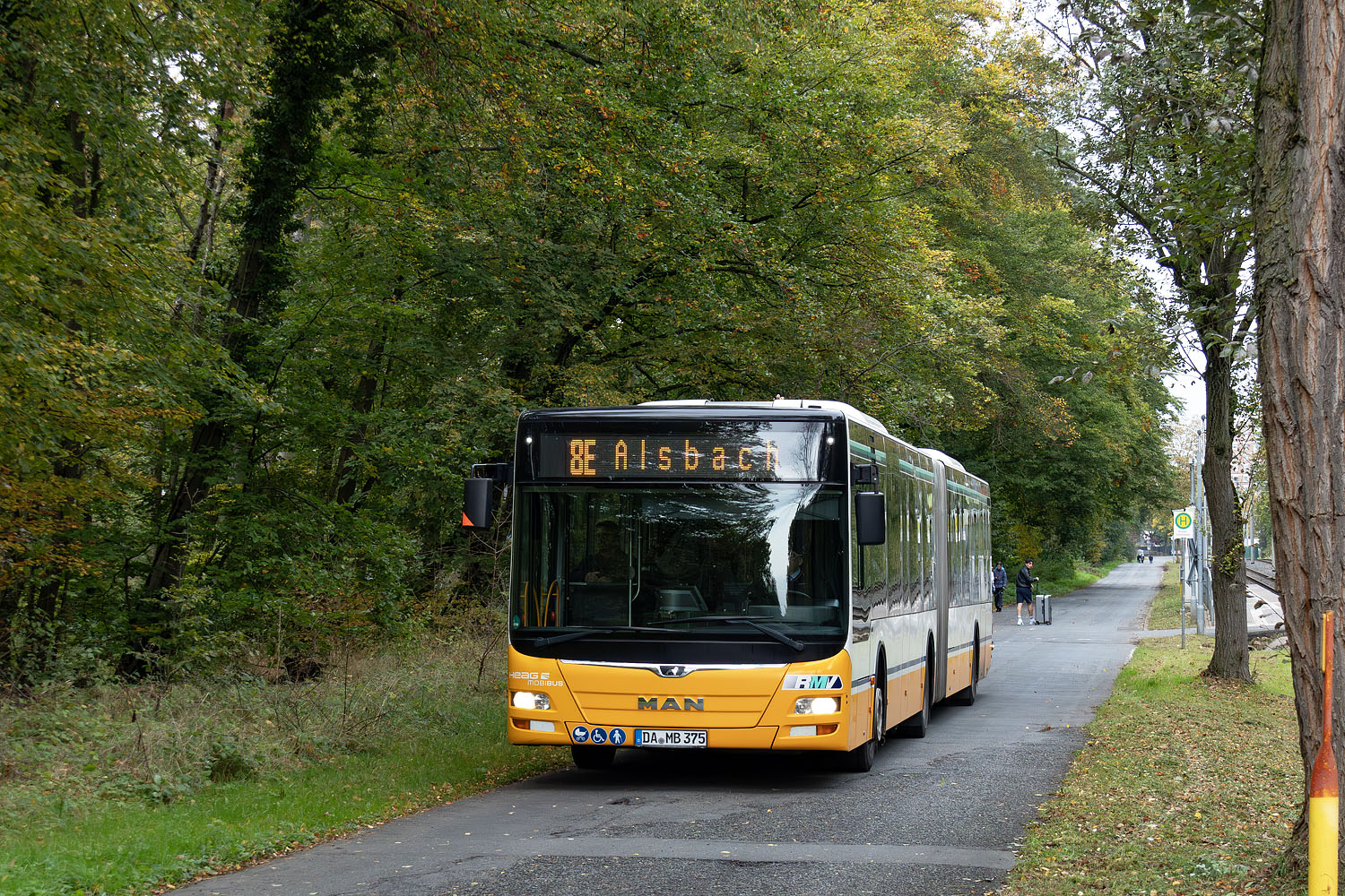 Гессен, MAN A23 Lion's City G NG323 № 375; Гессен — SEV · Straßenbahn Darmstadt · Herbstferien 2024 · 12.10.2024 — 27.10.2024