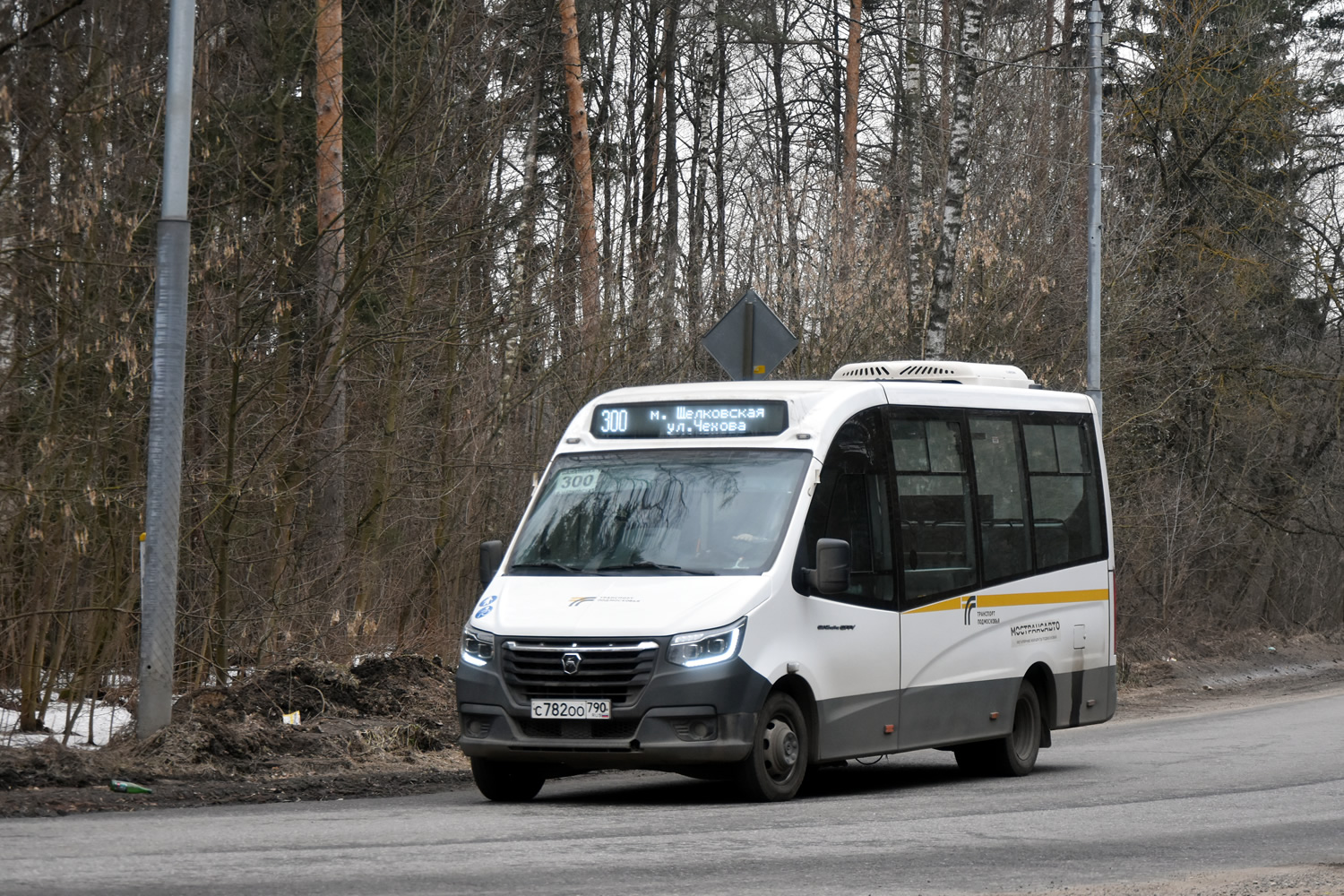 Московская область, ГАЗ-A68R52 City № 113523