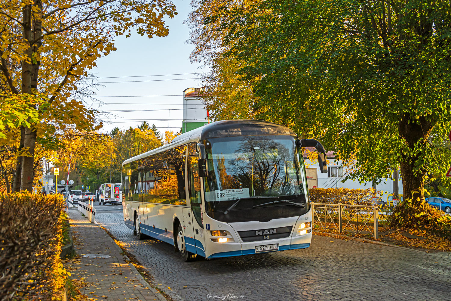 Калининградская область, MAN R12 Lion's Regio ÜL354 № С 527 НР 39