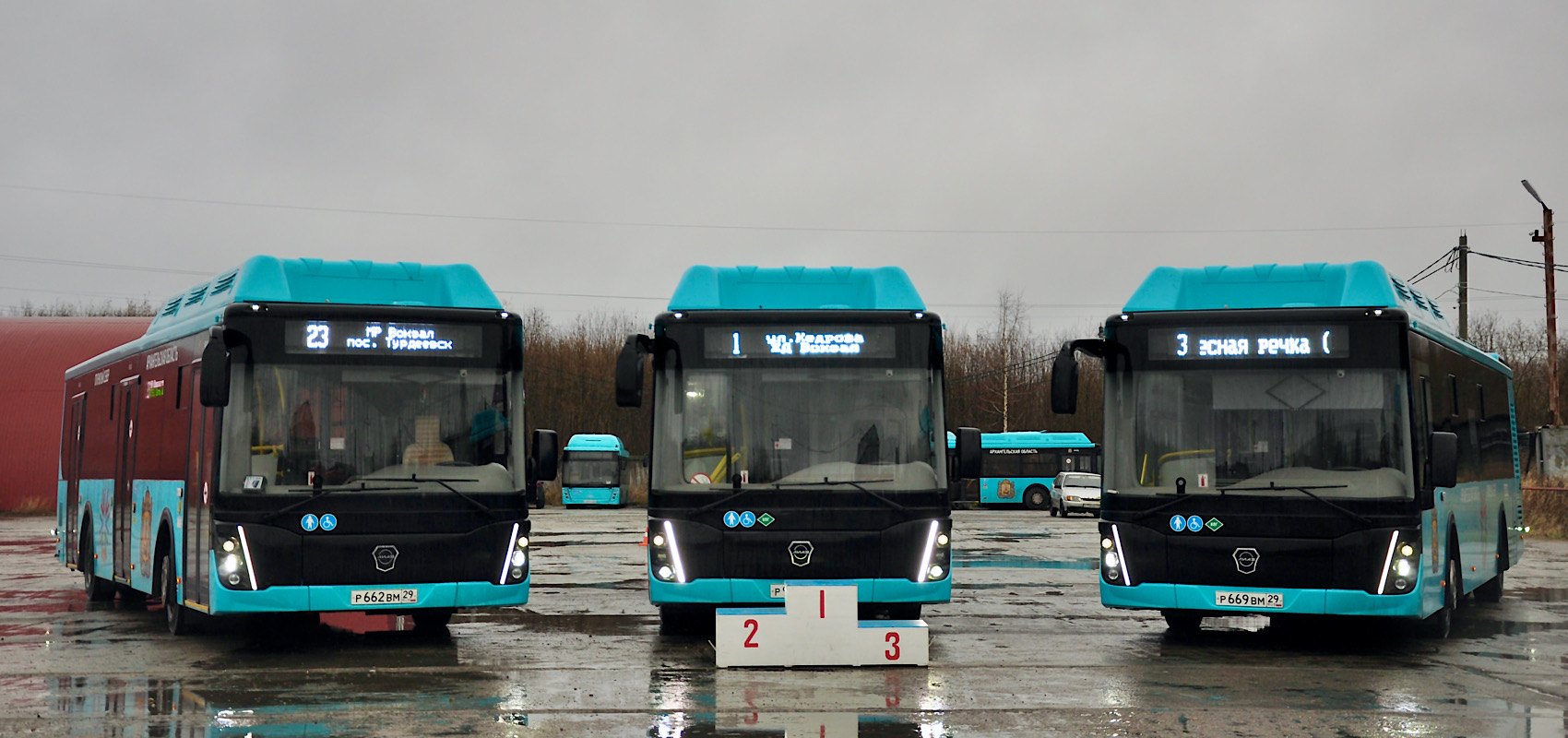 Архангельская область, ЛиАЗ-5292.67 (CNG) № Р 662 ВМ 29; Архангельская область, ЛиАЗ-5292.67 (CNG) № Р 669 ВМ 29 Архангельская область, ЛиАЗ-5292.67 (CNG) № Р 662 ВМ 29; Архангельская область, ЛиАЗ-5292.67 (CNG) № Р 669 ВМ 29