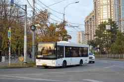 691 КБ