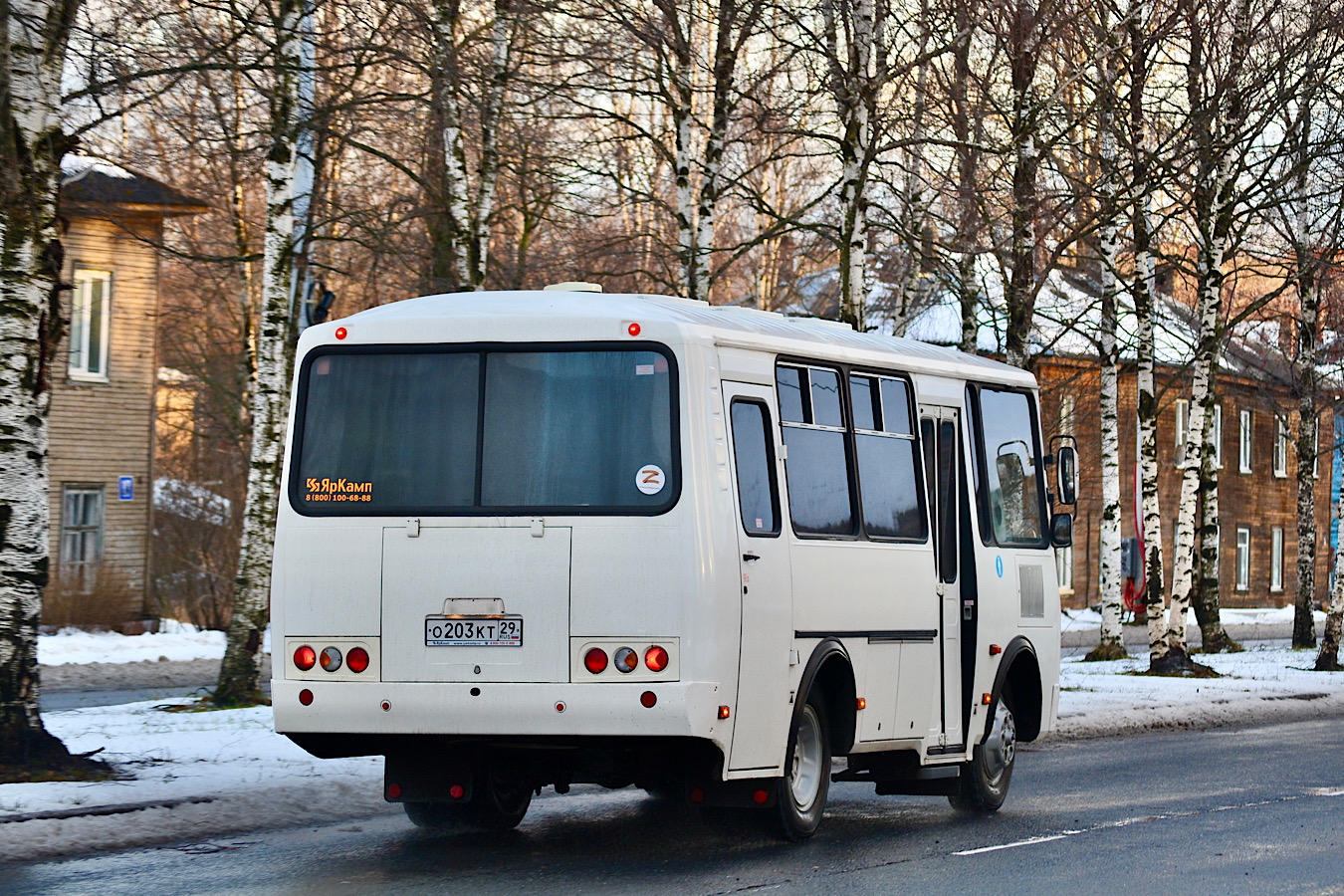 Архангельская область, ПАЗ-320530-02 № О 203 КТ 29