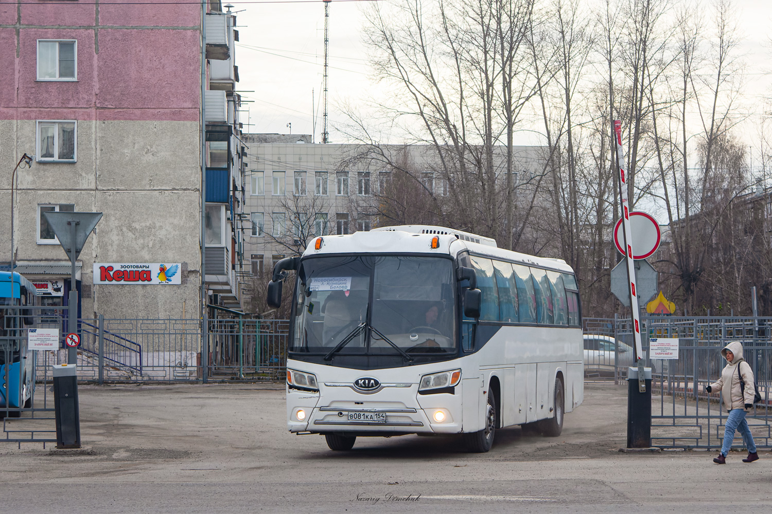 Новосибирская область, Kia Granbird Parkway (КВР) № В 081 КА 154