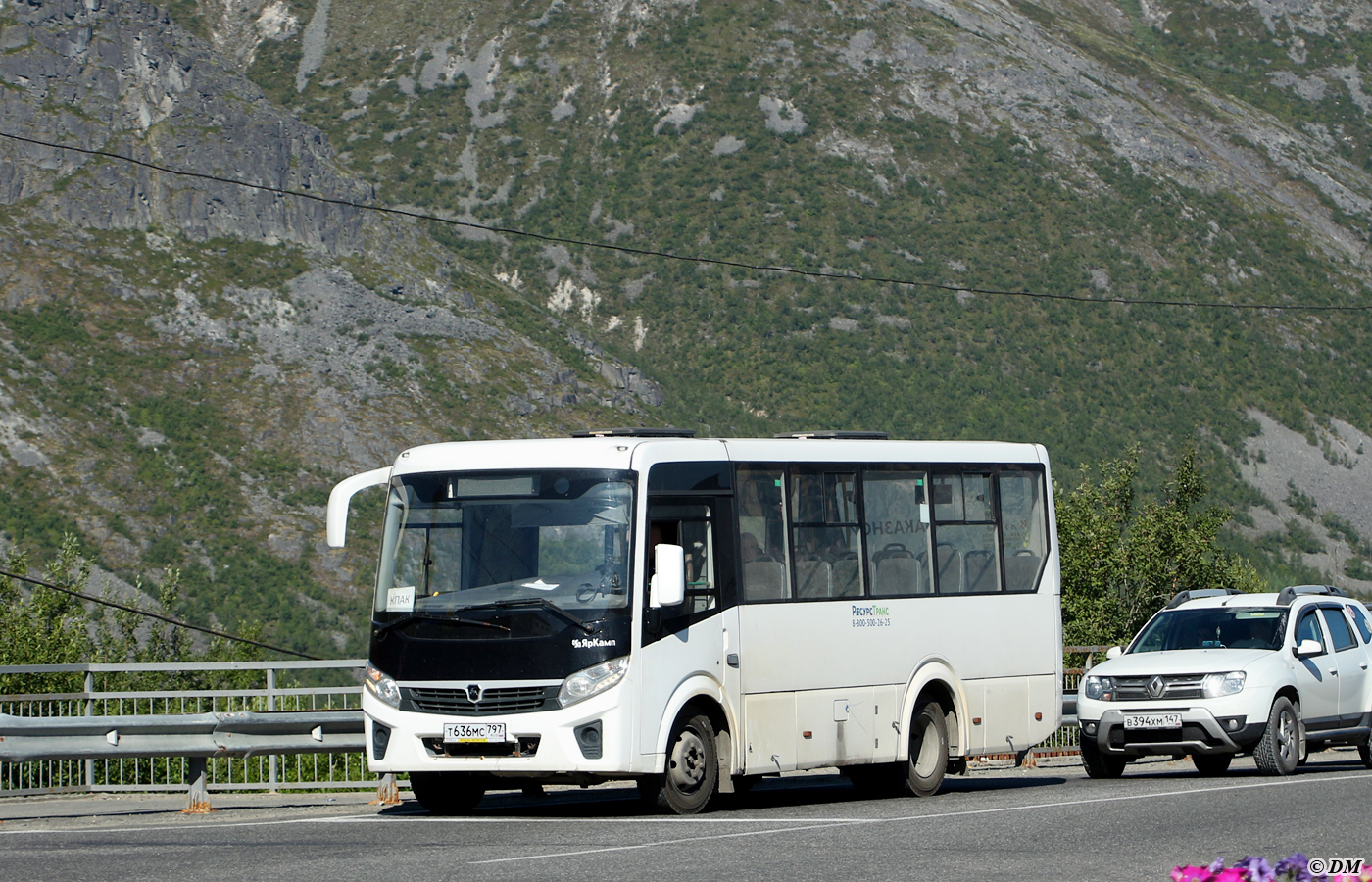 Мурманская область, ПАЗ-320405-04 "Vector Next" № Т 636 МС 797
