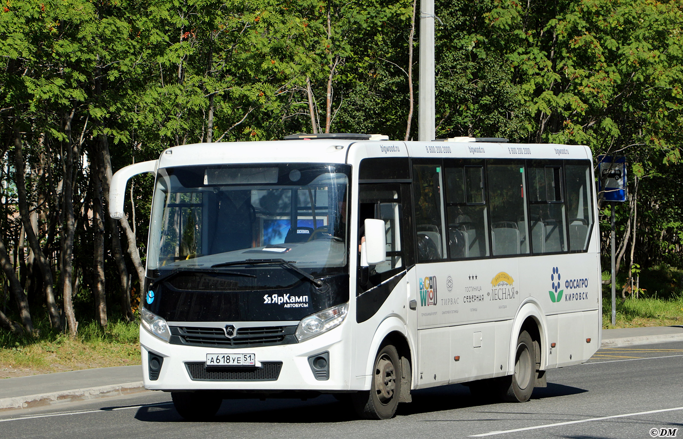 Мурманская область, ПАЗ-320405-04 "Vector Next" № А 618 УЕ 51