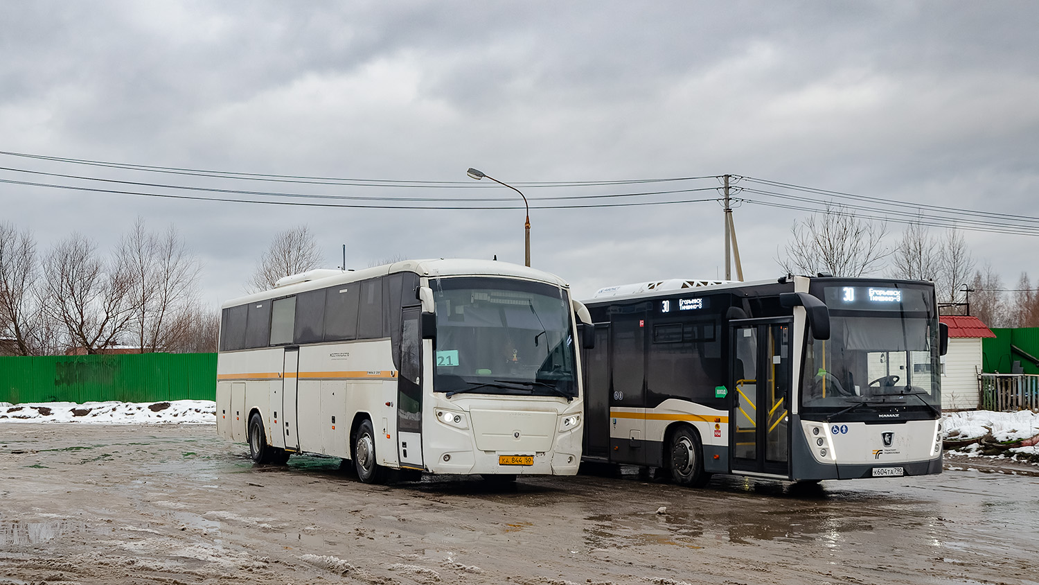 Московская область, ГолАЗ-529115-1x № 046721