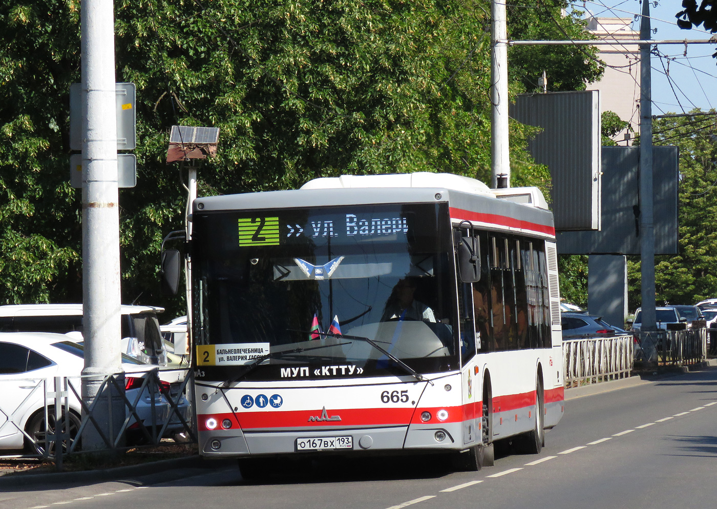 Краснодарский край, МАЗ-203.016 № 665