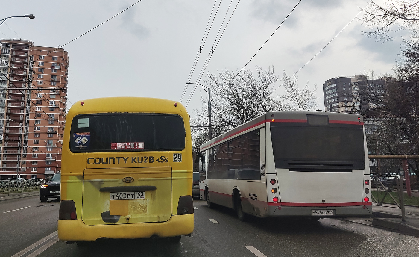 Краснодарский край, Hyundai County Kuzbass № Т 403 РТ 193; Краснодарский край, МАЗ-206.085 № У 575 ЕВ 193