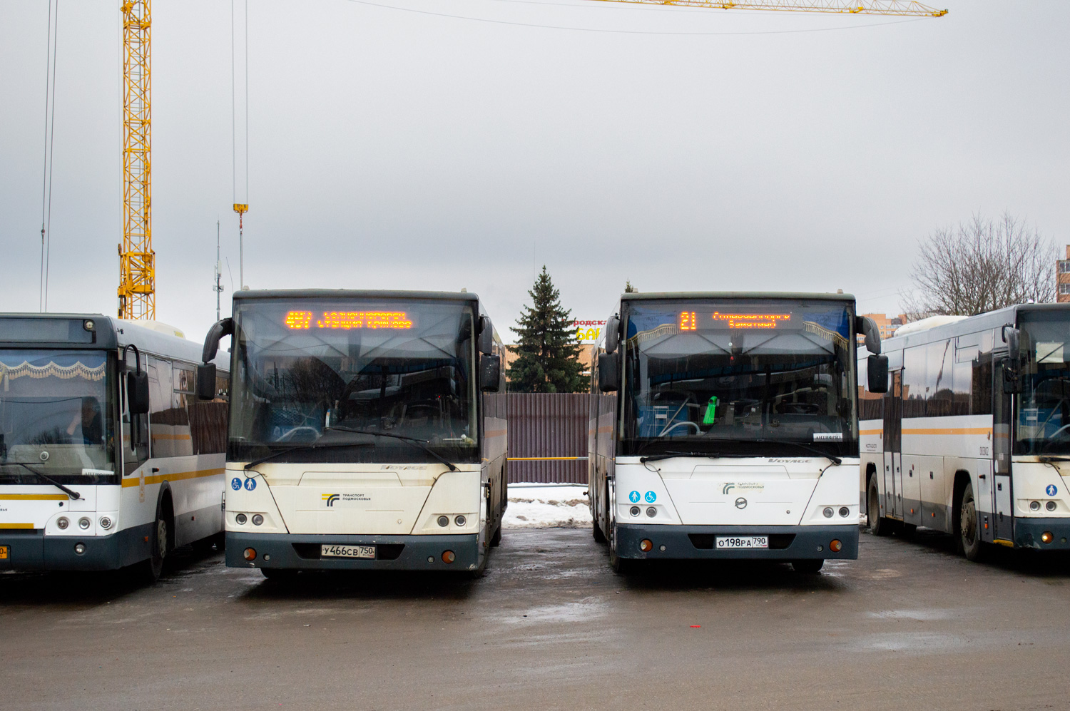 Московская область, ЛиАЗ-5250 № 084817; Московская область, ЛиАЗ-5250 № 084820