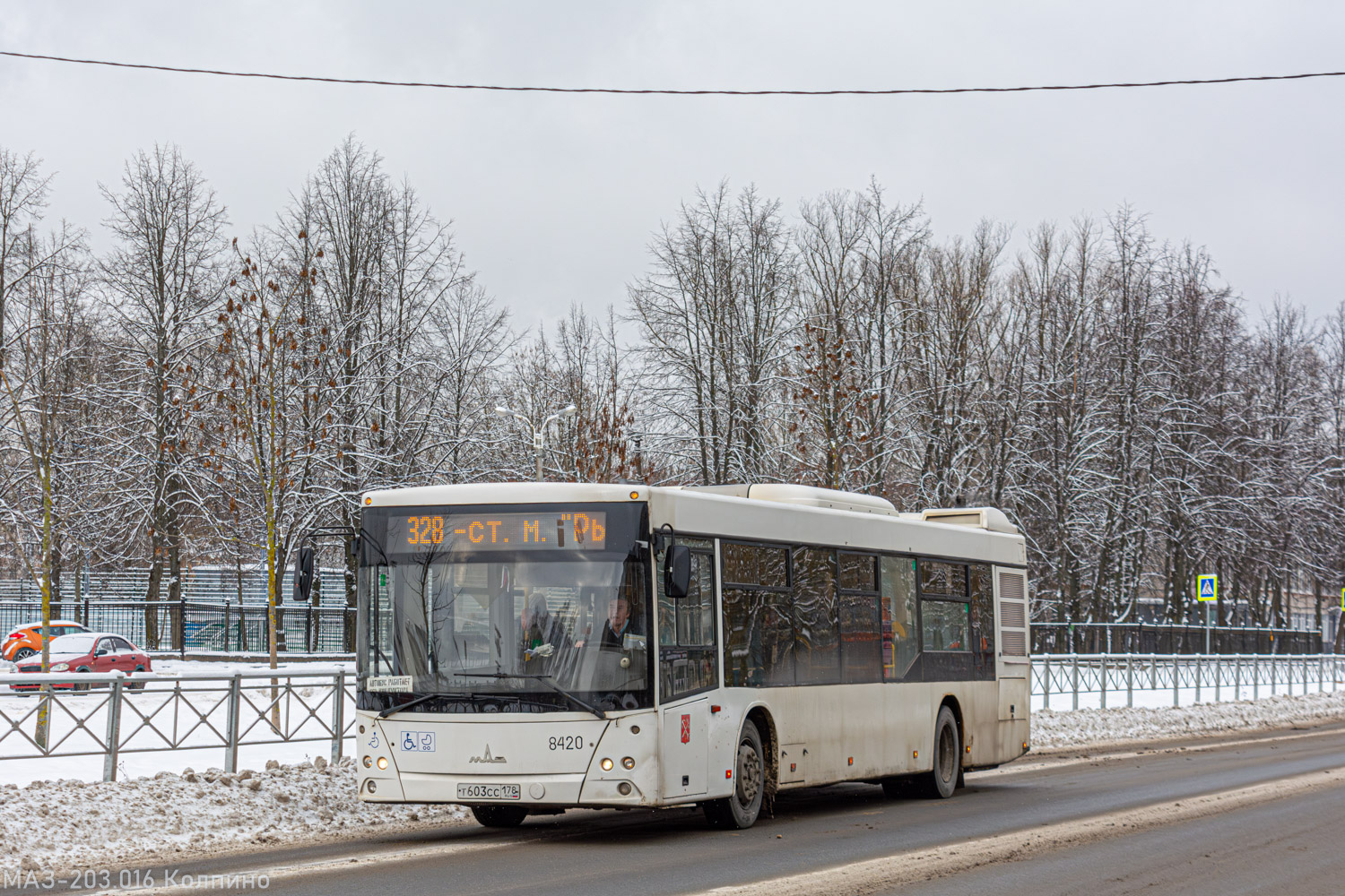 Санкт-Петербург, МАЗ-203.085 № 8420