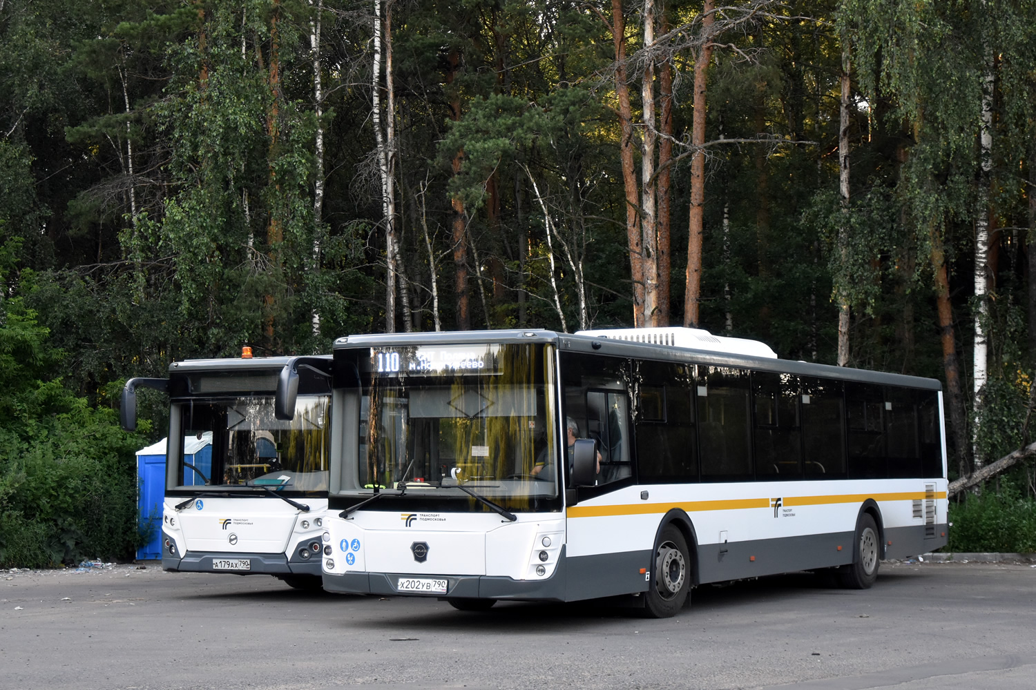 Московская область, ЛиАЗ-5292.65-03 № 113661