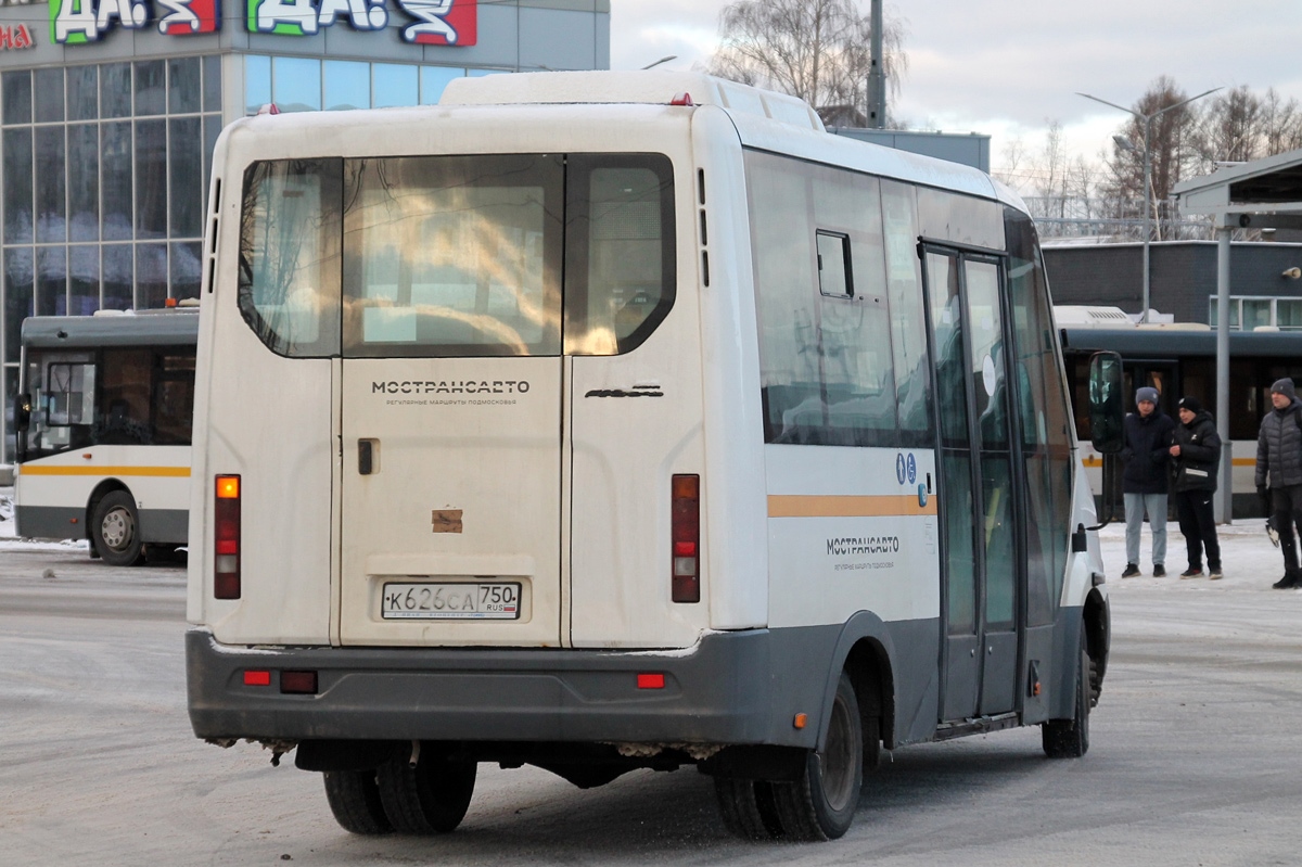 Московская область, Луидор-2250DS (ГАЗ Next) № 113180