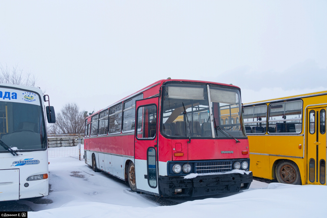 Самарская область, Ikarus 256.74 № К 431 УТ 63