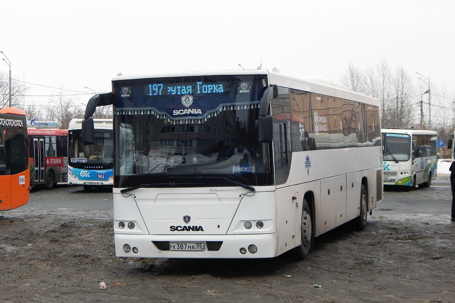 Омская область, ЛиАЗ-5250 № 145