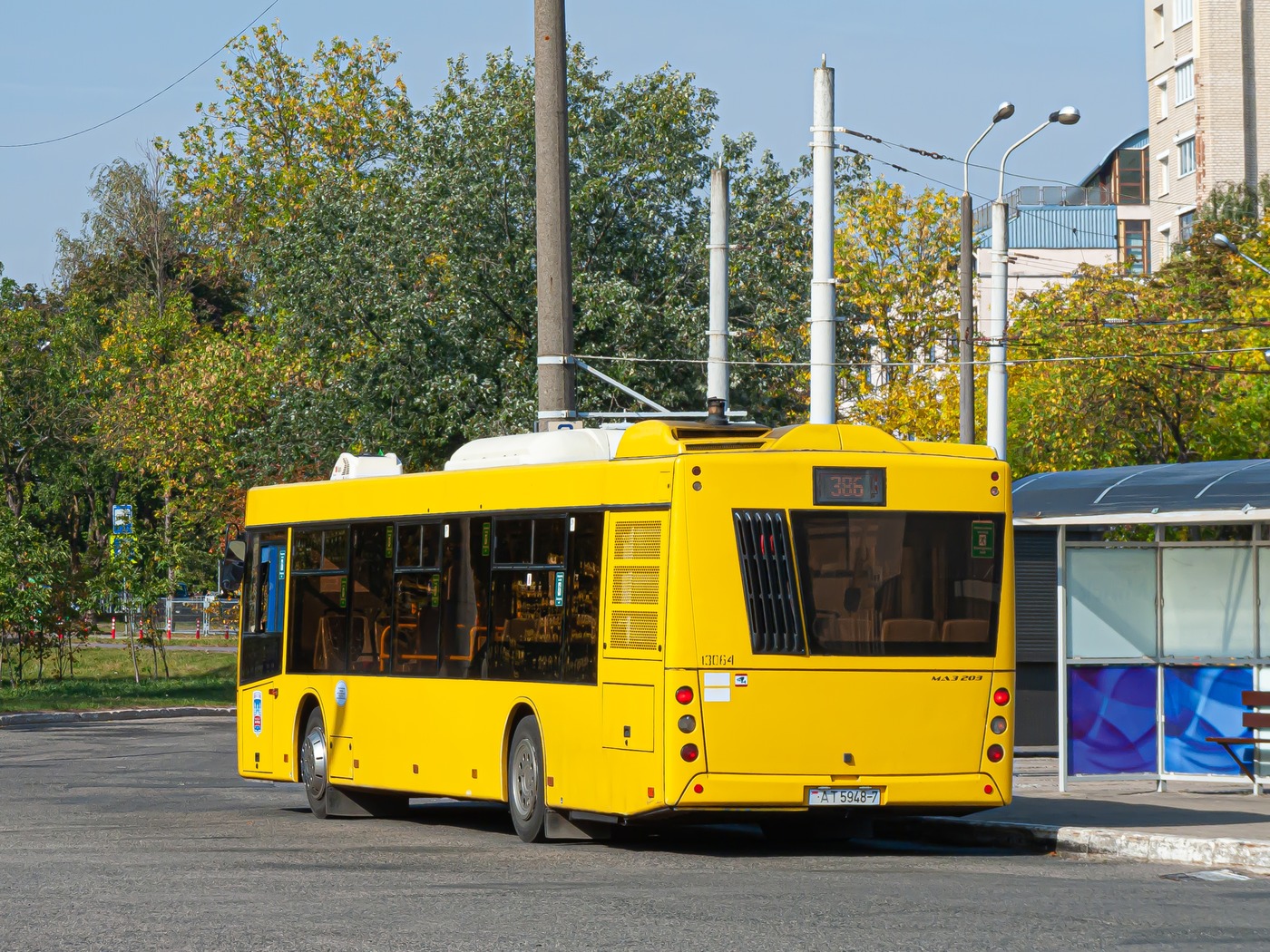 Минск, МАЗ-203.015 № 013064