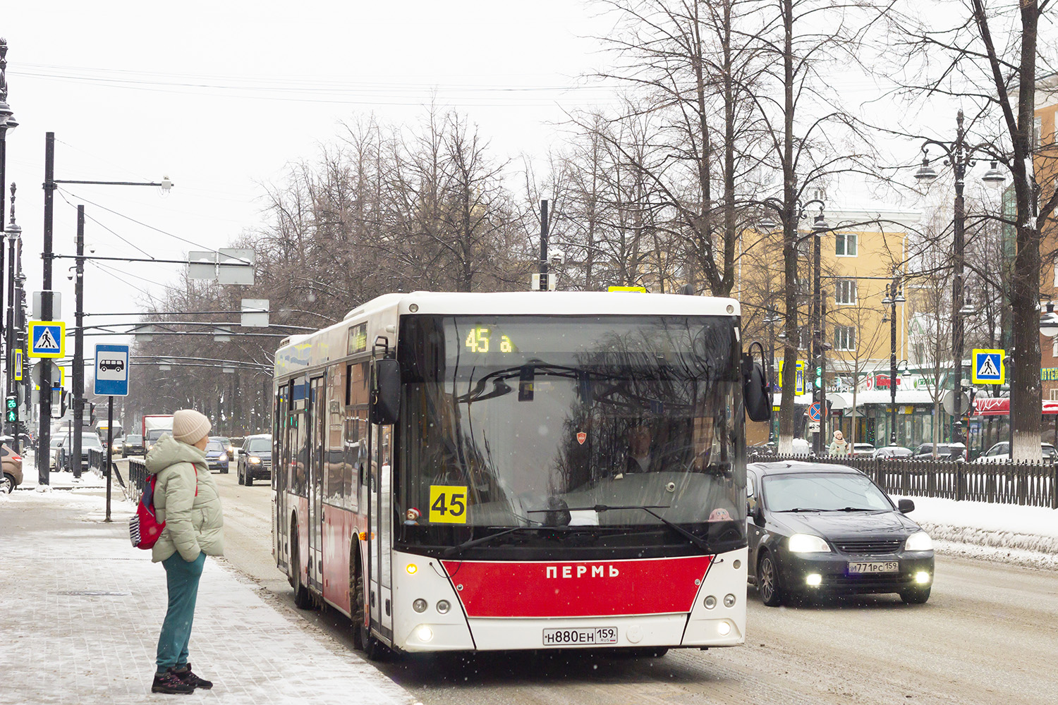 Пермский край, МАЗ-203.016 № Н 880 ЕН 159