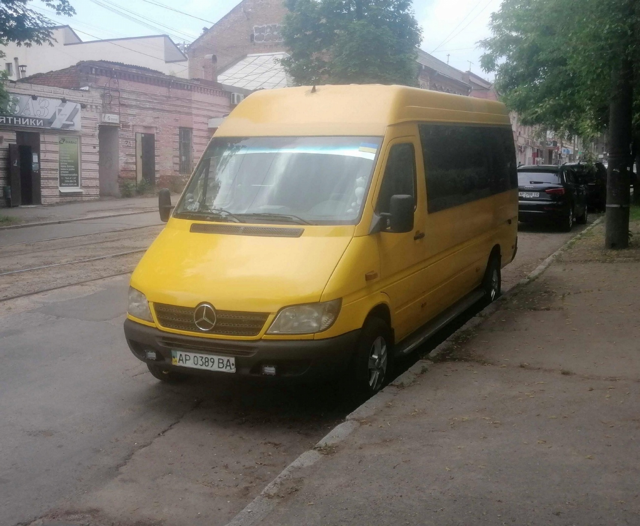 Запорожская область, Mercedes-Benz Sprinter W903 311CDI № AP 0389 BA