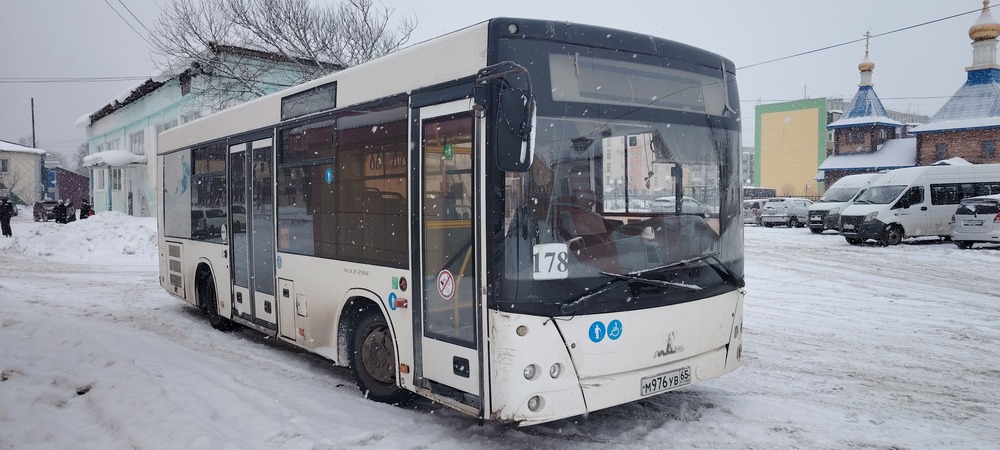 Сахалинская область, МАЗ-206.085 № М 976 УВ 65