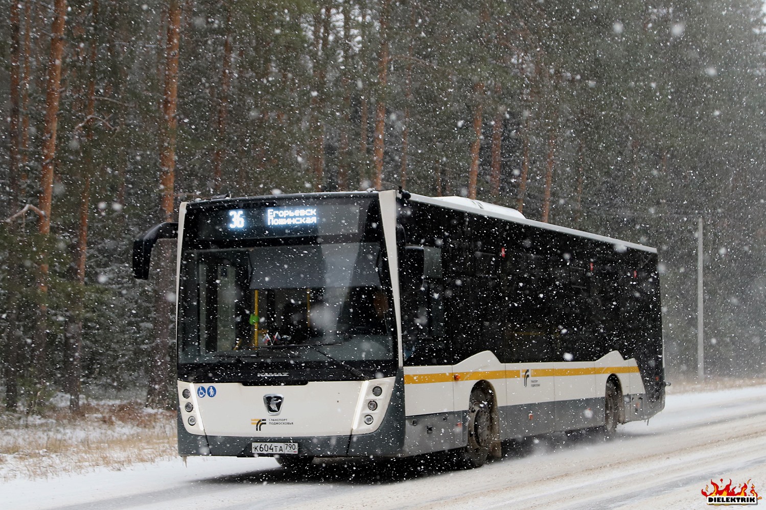 Московская область, НефАЗ-5299-31-52 № 046659